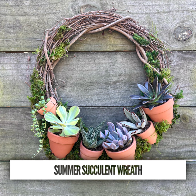 succulent wreath workshop Summer Succulent Wreath + Wine 06/14/26
