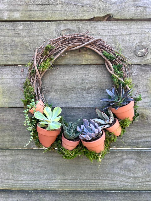 outdoor succulent wreath Summer Succulent Wreath + Wine 06/14/26