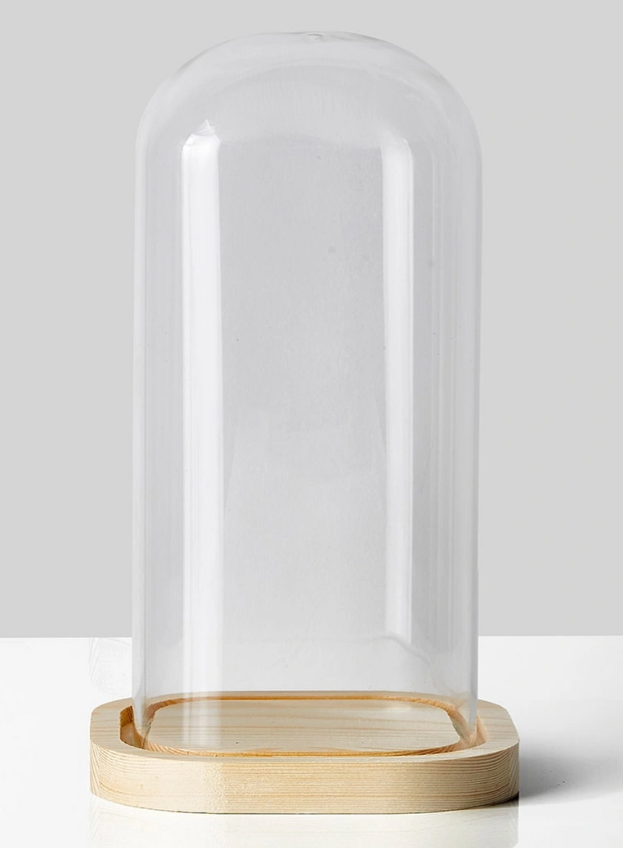 succulent cloche Glass Cloche – Baton Rouge Succulent Co
