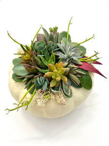 Pumpkin Arrangments