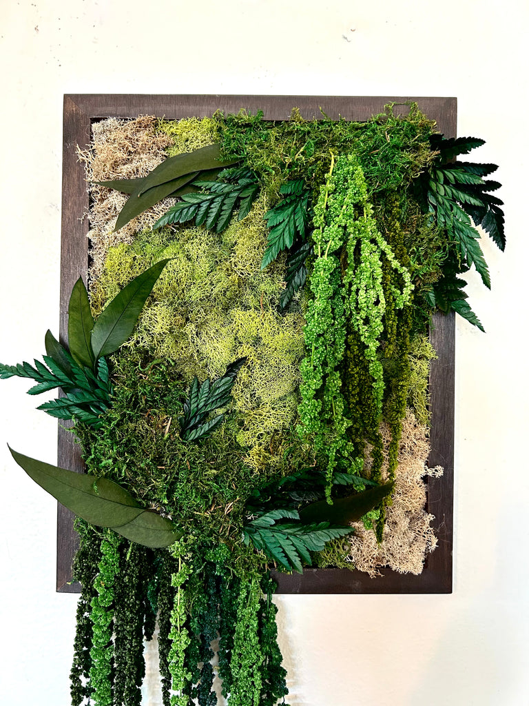 living art succulent diy kit DIY Moss Art Kit – Baton Rouge Succulent Co