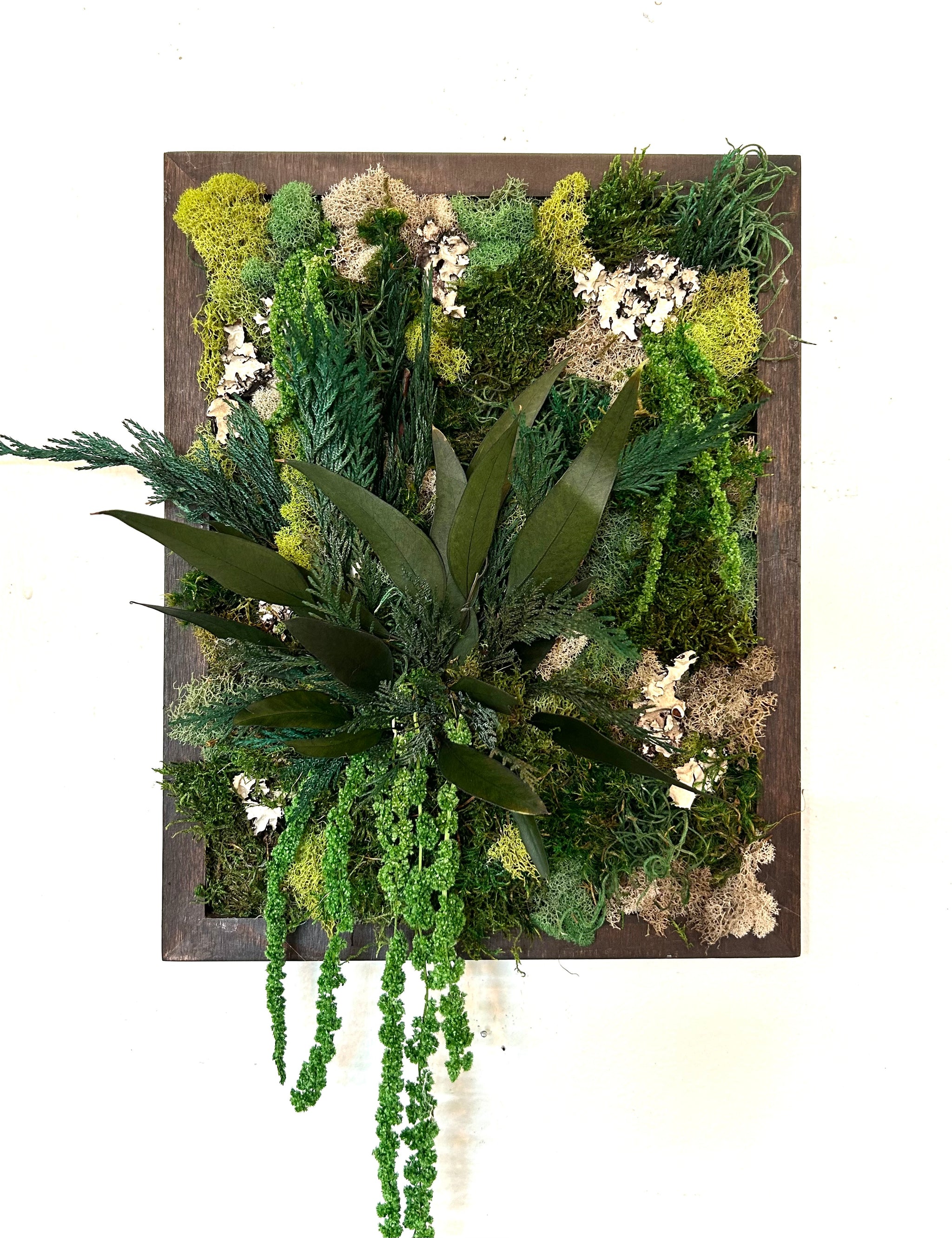 succulent wall art kit DIY Moss Art Kit – Baton Rouge Succulent Co