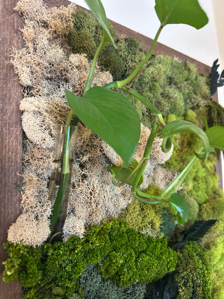 Mimosa's & Moss Art Workshop 09/17/26