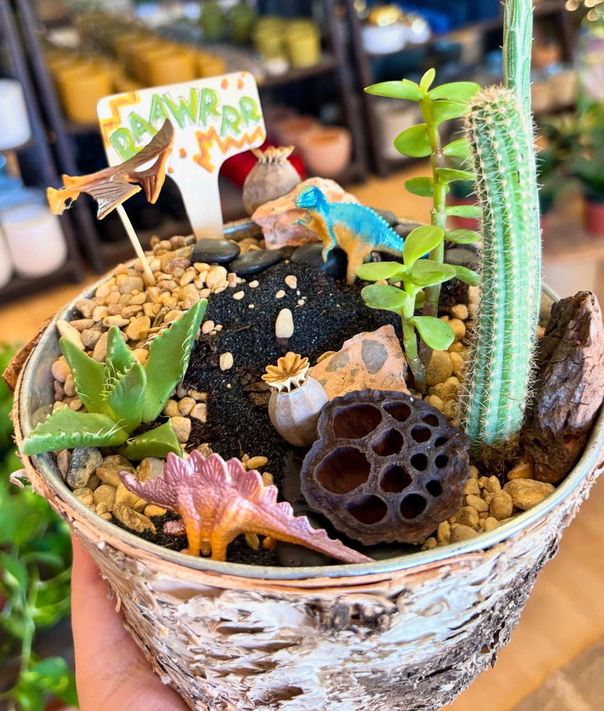 dinosaur succulent planter DIY Dinosaur Garden Kit – Baton Rouge Succulent Co