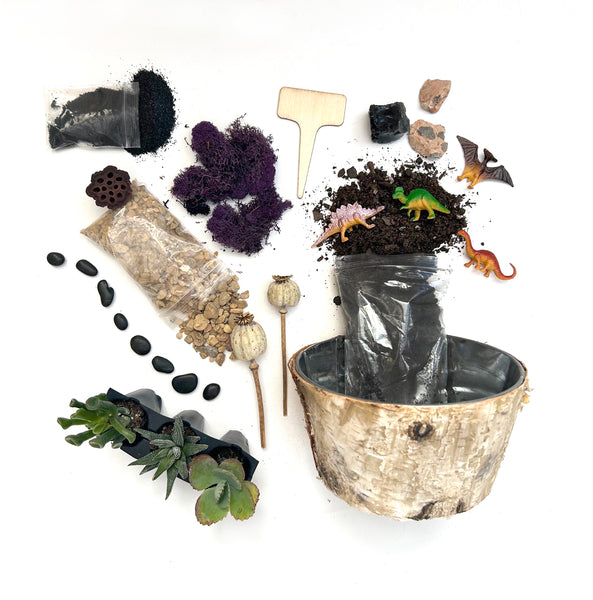DIY Dinosaur Garden Kit