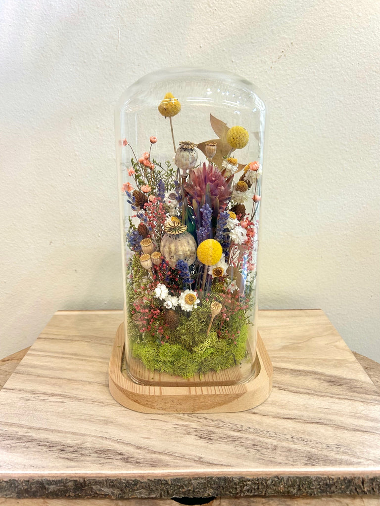 succulent cloche Private Event_Lisa Floral Cloche 05/02/26 – Baton Rouge Succulent Co
