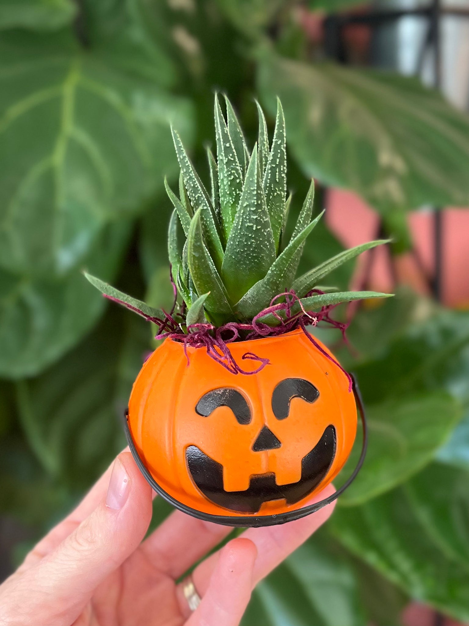 Trick-or-Treat favors
