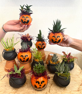 Trick-or-Treat favors