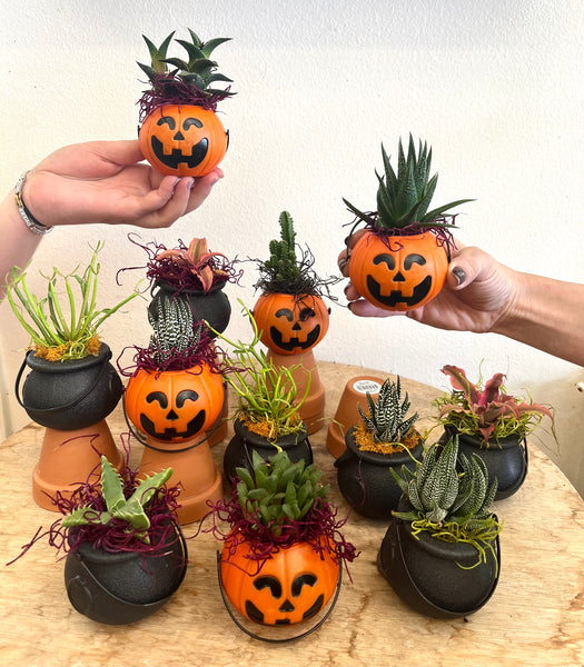 Trick-or-Treat favors