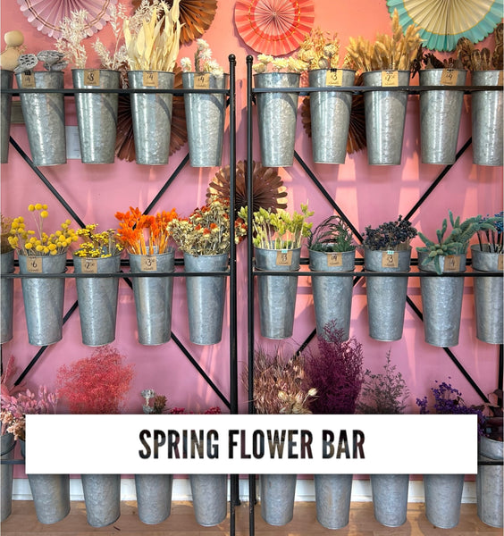 Spring Flower Bar  04/15/26