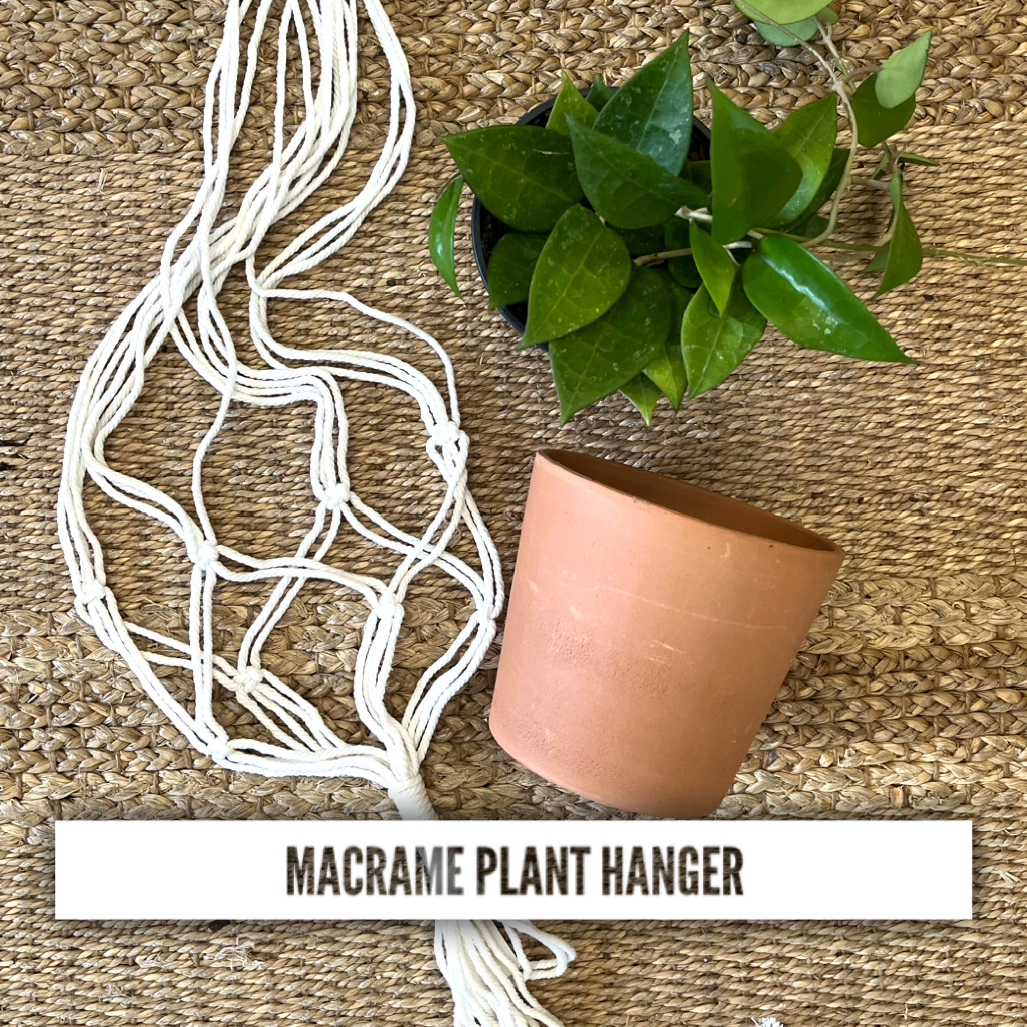 Macrame Plant Hanger Workshop 9/14/23