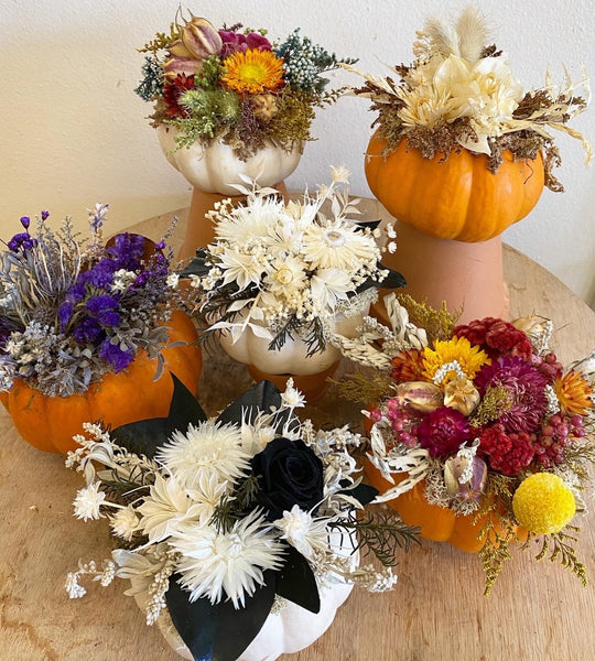 Dried Floral Topped Pumpkin 10/7/26