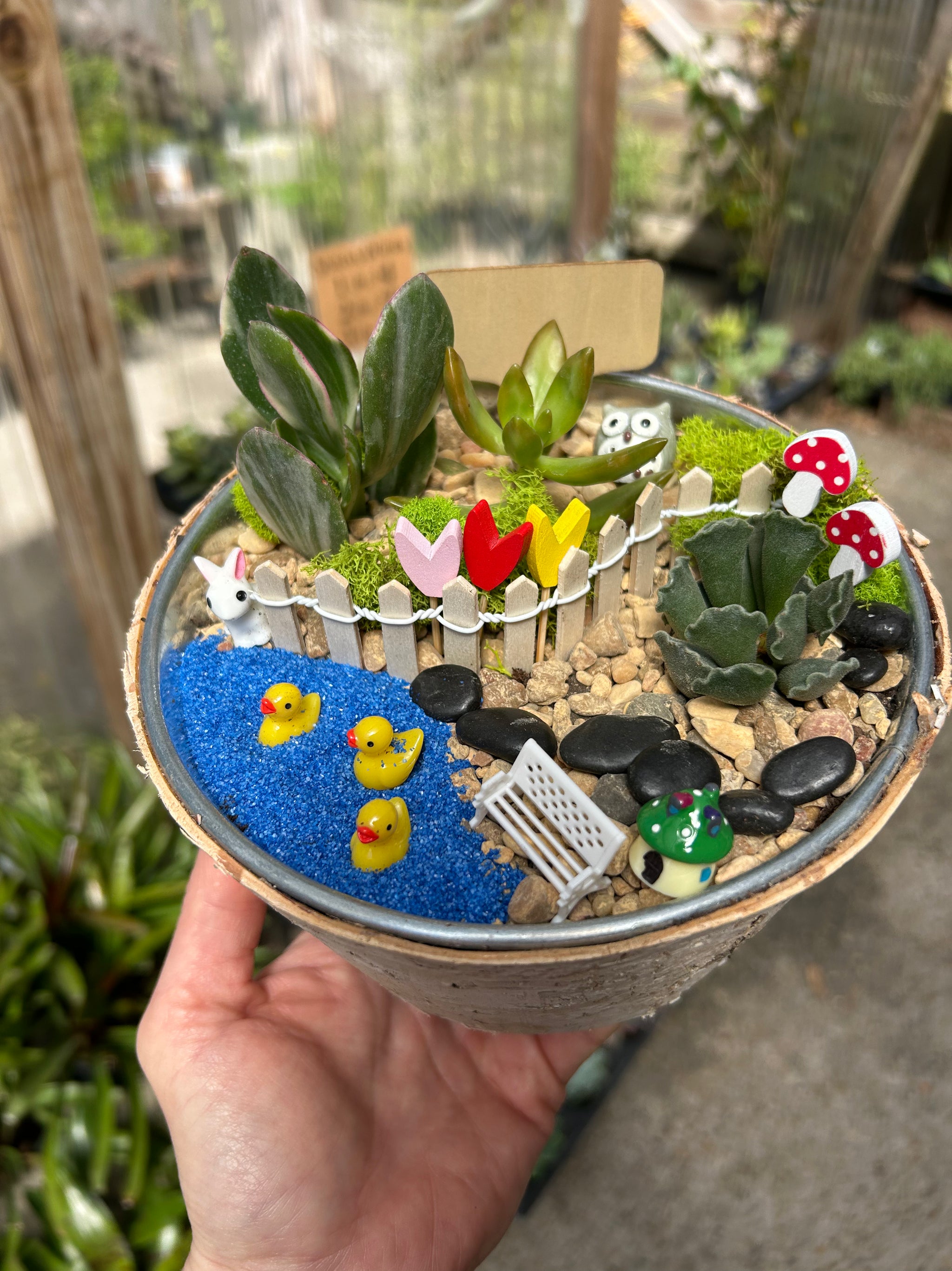 fairy garden ideas succulents DIY Fairy Garden Kit