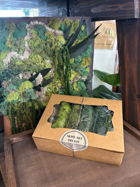DIY Moss Art Kit