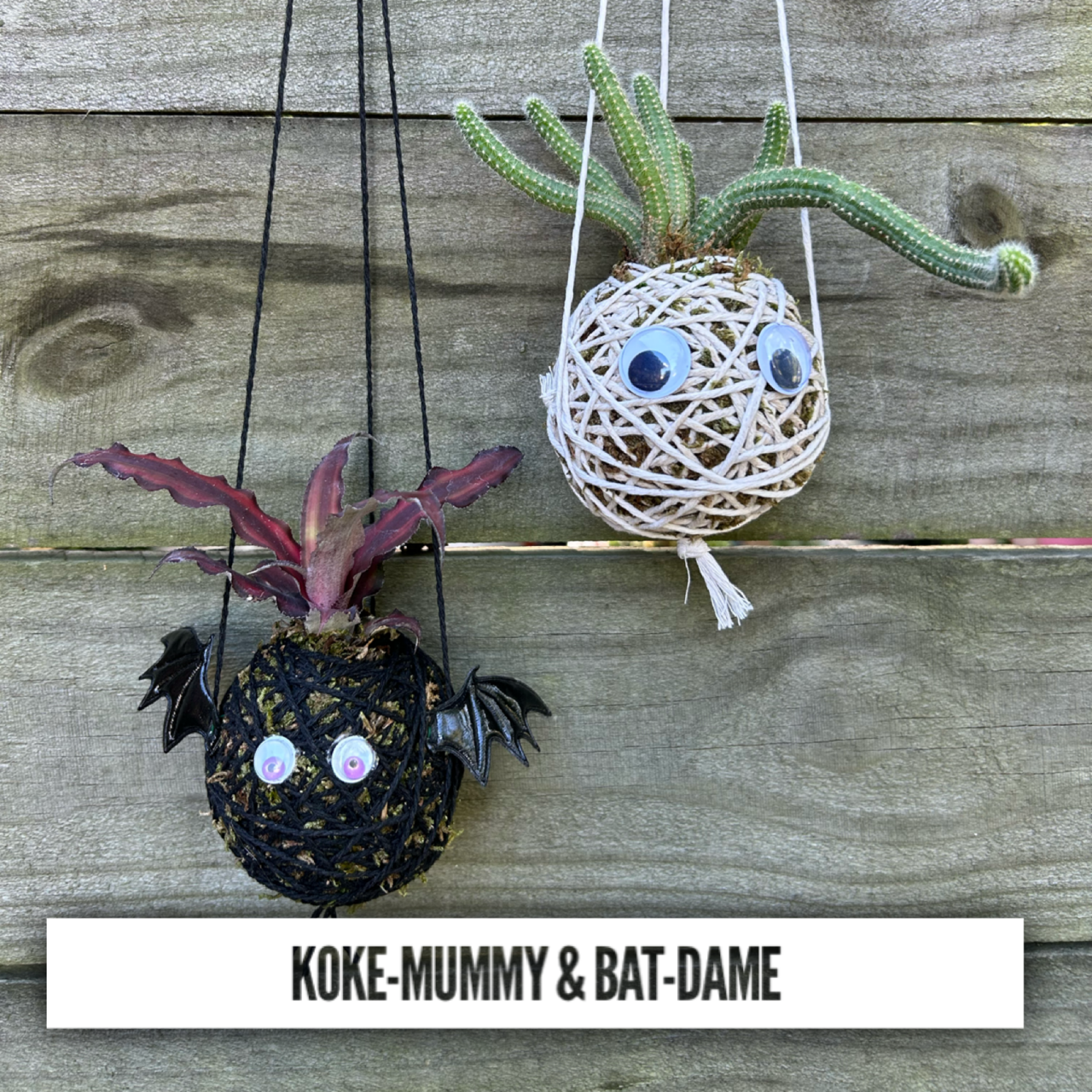 Koke-Mummy & Bat-Dame Workshop 10/21/25