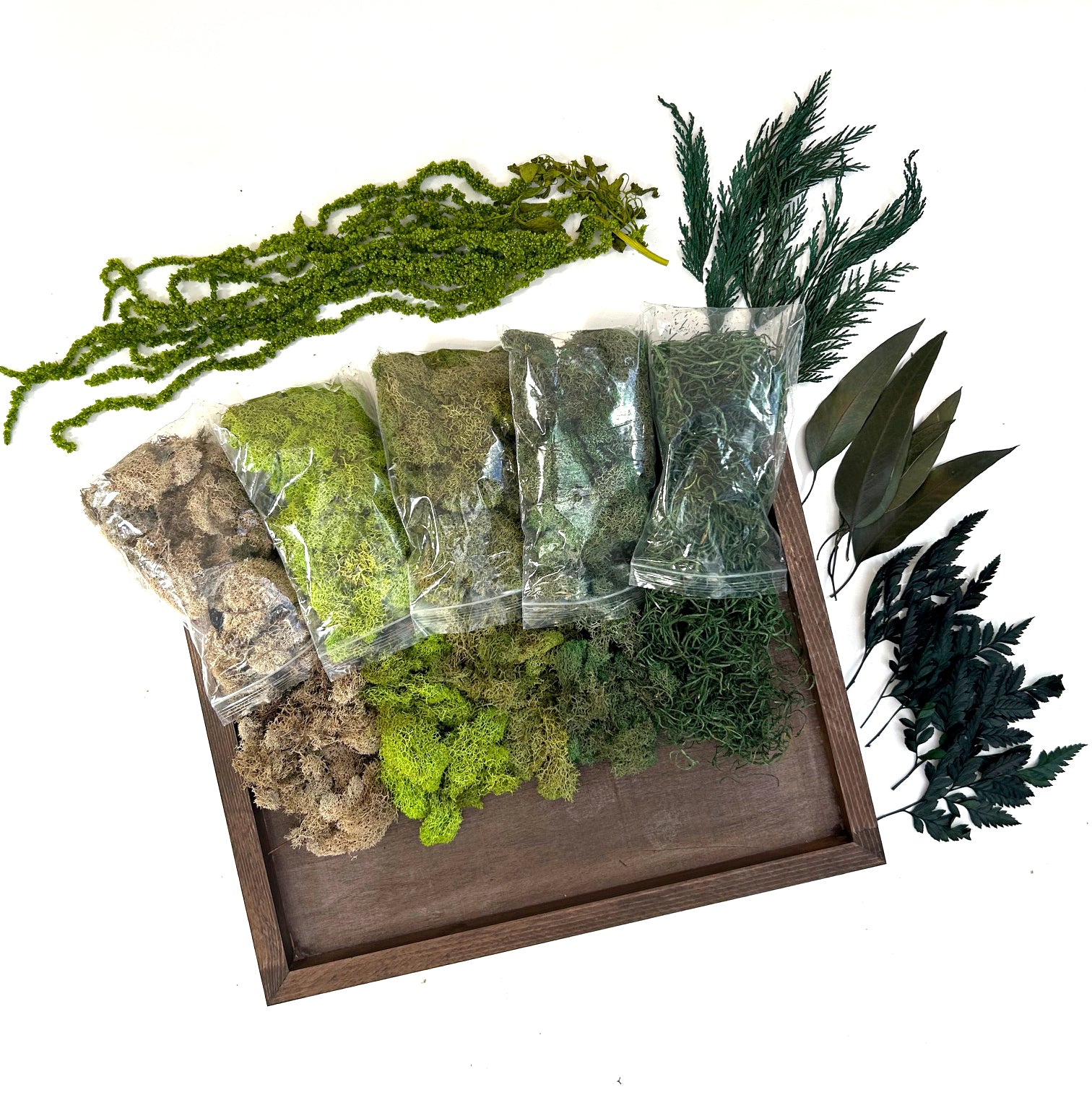 DIY Moss Art Kit