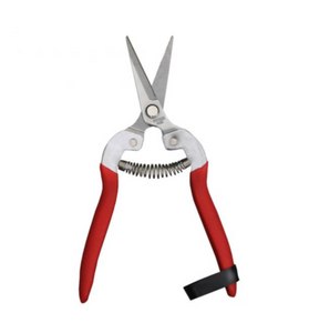 succulent shears Gardening Sheers/Snips