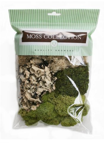 Moss Collection Sample Pack
