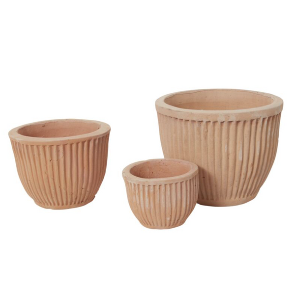Soto Pot