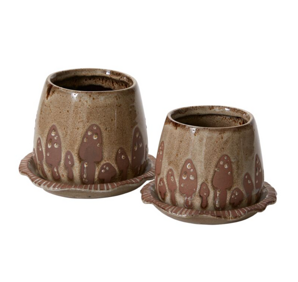 Wild Mushroom Pot