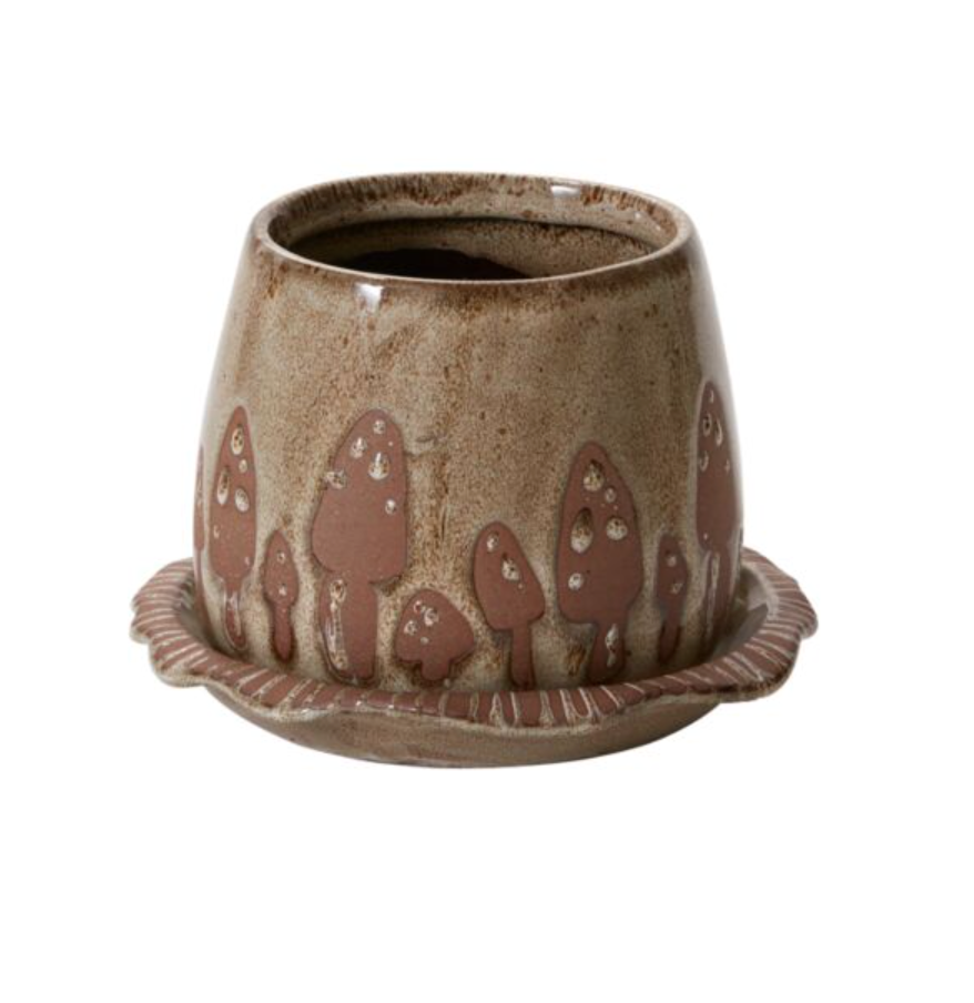 Wild Mushroom Pot