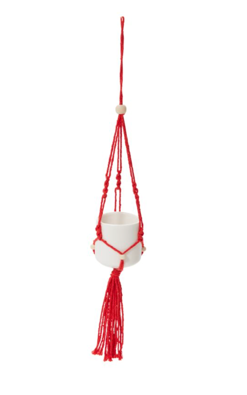 Macrame Tillandsia Holder