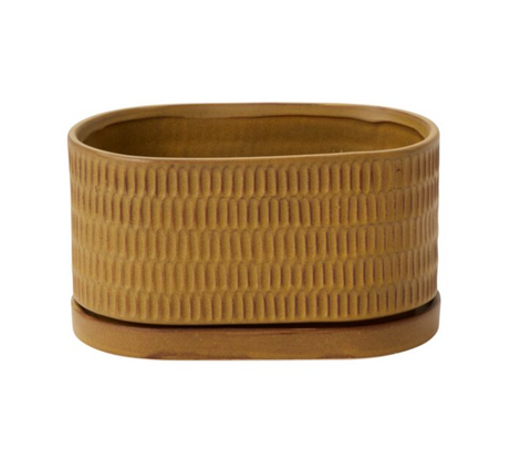 Zelle Planter Mustard