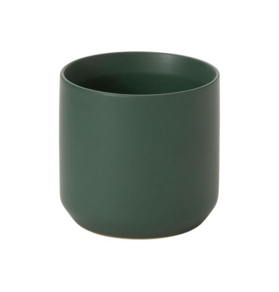 Kendall Dk Green
