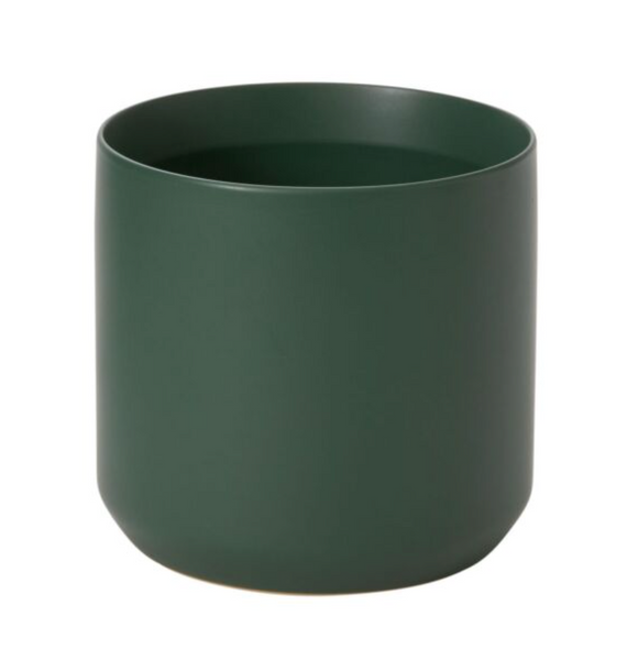 Kendall Dk Green