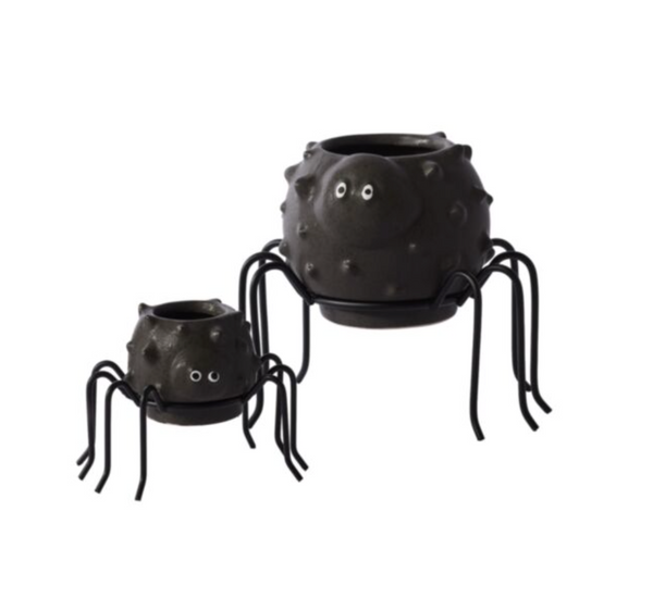 Silly Spider Pot