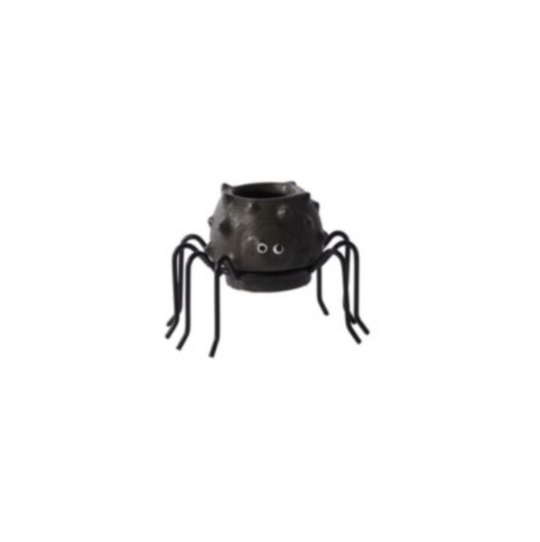 Silly Spider Pot
