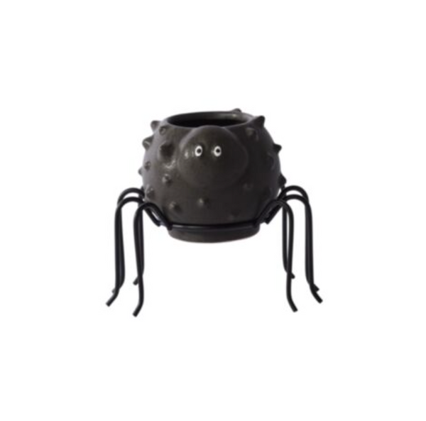 Silly Spider Pot