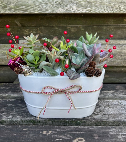 Succulent Centerpiece 12/7