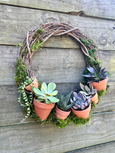 Summer Succulent Wreath + Wine 06/14/26