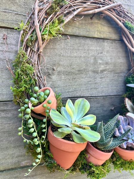 Summer Succulent Wreath + Wine 06/14/26