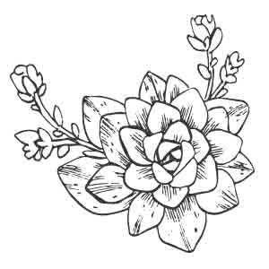 baton rouge succulent Baton Rouge Succulent Co. Gift Card