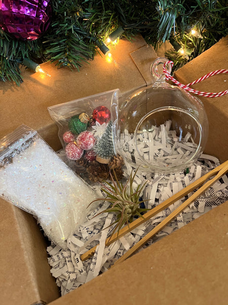 DIY Airplant Ornament Box
