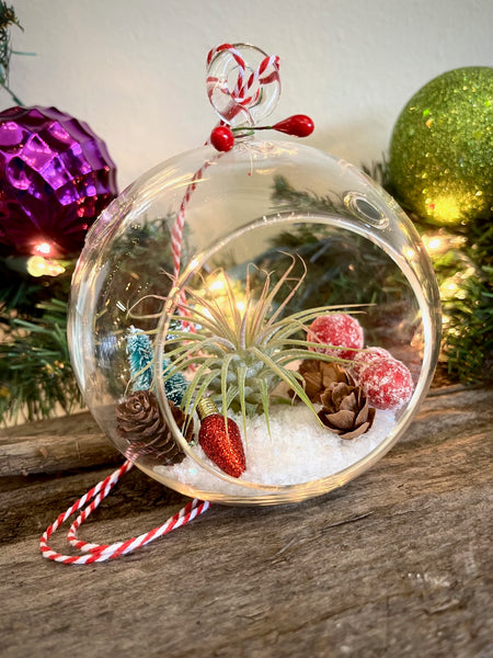 DIY Airplant Ornament Box
