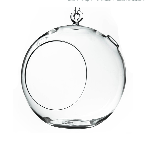 Glass Terrarium Round
