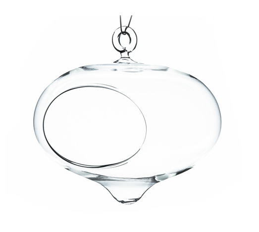 Glass Terrarium - Jetson