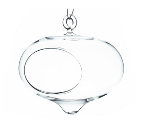 Glass Terrarium - Jetson