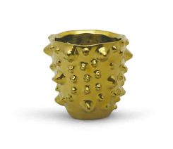 Gold Spiked Pot
