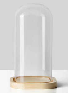 Glass Cloche