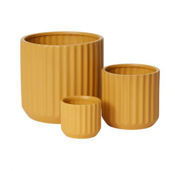 Beam Pot