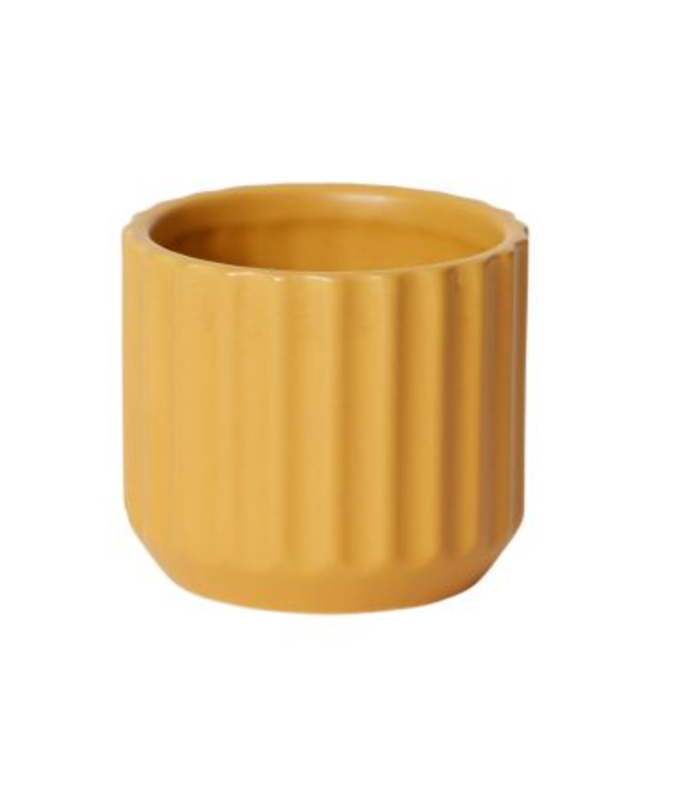Beam Pot