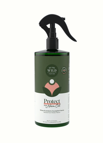 WTW Protect Spray