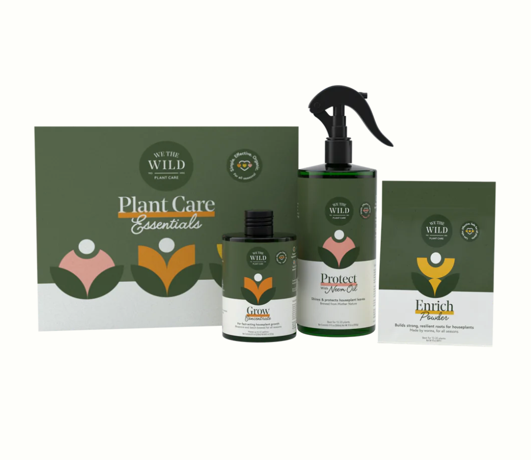 WTW Essentials Kit