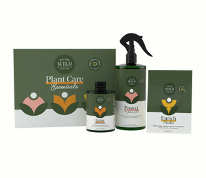 WTW Essentials Kit