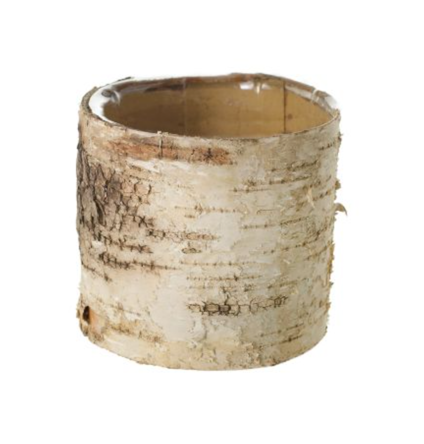 Birch Cylinder